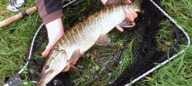 River pike River pike