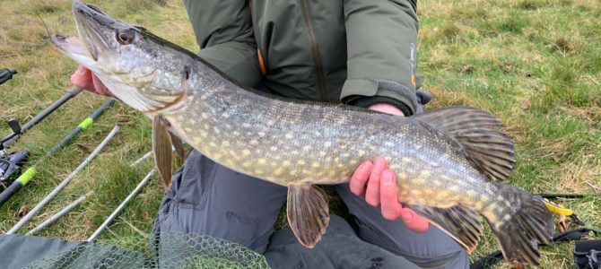 Pike on’t’ deads again