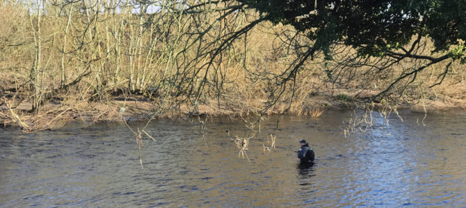 French nymphing on the Wharfe